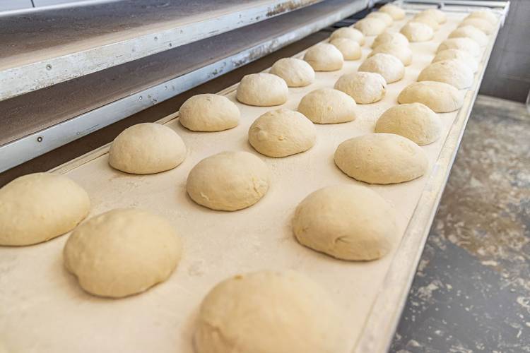 Celle di fermalievitazione: perché in estate diventano indispensabili per panifici, pizzerie e pasticcerie